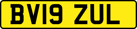 BV19ZUL