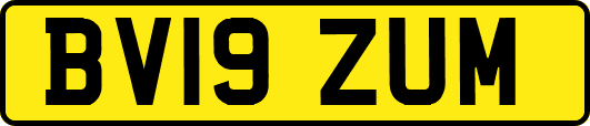 BV19ZUM
