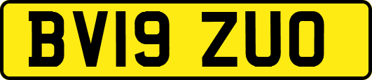 BV19ZUO