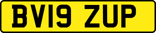 BV19ZUP