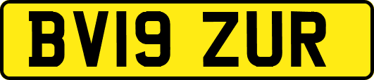 BV19ZUR