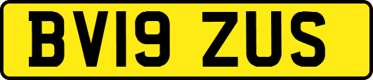 BV19ZUS