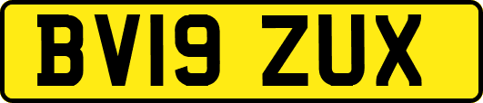 BV19ZUX