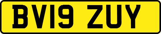 BV19ZUY