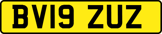 BV19ZUZ