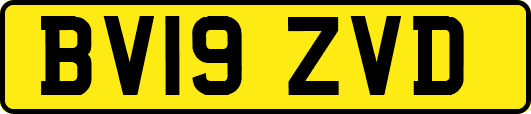 BV19ZVD