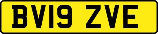 BV19ZVE