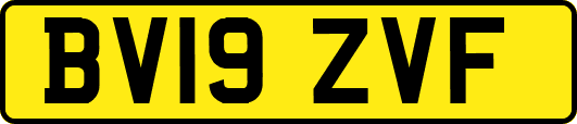 BV19ZVF