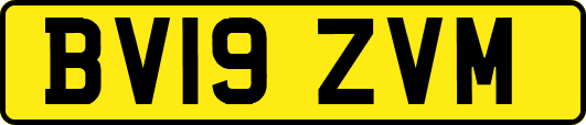 BV19ZVM