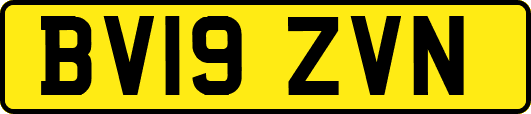 BV19ZVN