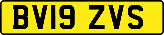 BV19ZVS