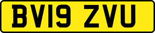 BV19ZVU