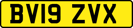 BV19ZVX