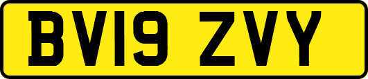 BV19ZVY