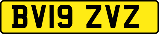 BV19ZVZ