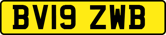 BV19ZWB