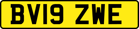 BV19ZWE