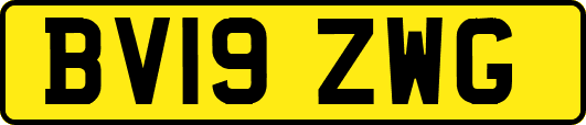 BV19ZWG