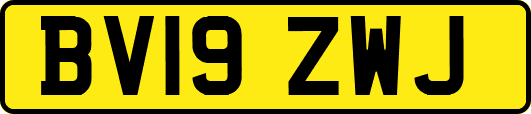 BV19ZWJ