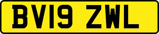 BV19ZWL
