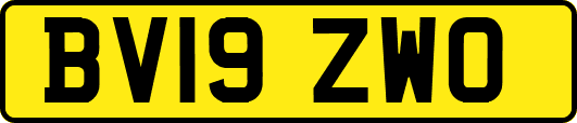 BV19ZWO