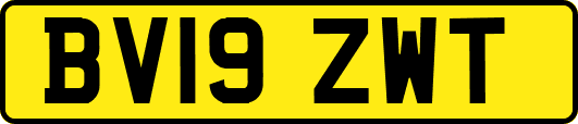 BV19ZWT