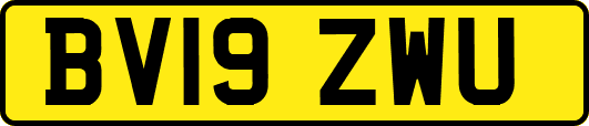 BV19ZWU