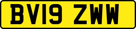 BV19ZWW