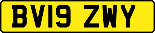 BV19ZWY