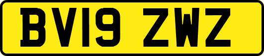 BV19ZWZ