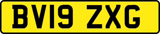 BV19ZXG