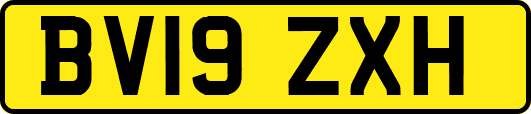 BV19ZXH