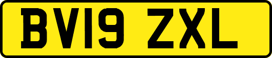 BV19ZXL