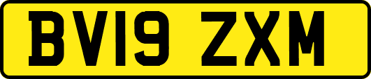 BV19ZXM