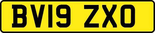 BV19ZXO