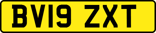 BV19ZXT