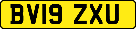 BV19ZXU