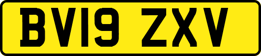 BV19ZXV