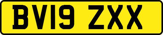 BV19ZXX