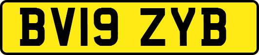 BV19ZYB