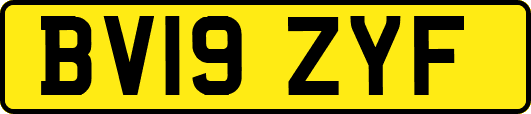BV19ZYF