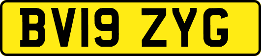 BV19ZYG