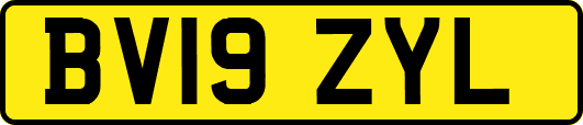 BV19ZYL