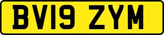BV19ZYM