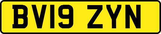 BV19ZYN
