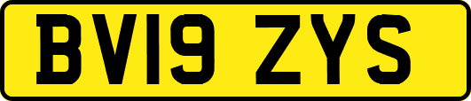 BV19ZYS