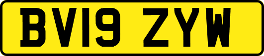 BV19ZYW