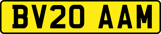 BV20AAM