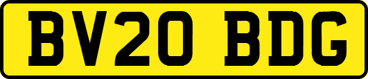 BV20BDG