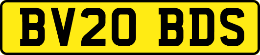 BV20BDS